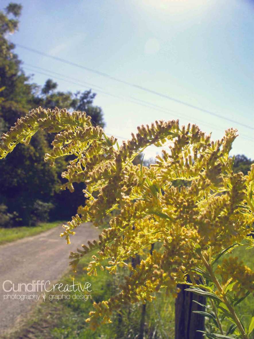 Heather Cundiff Creative