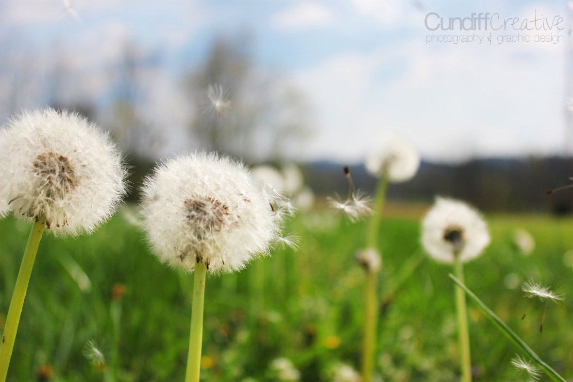 Heather Cundiff Creative