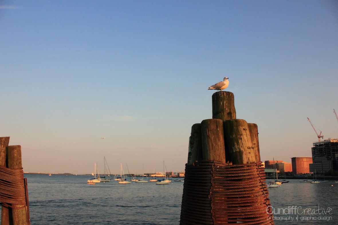 Heather Cundiff Creative