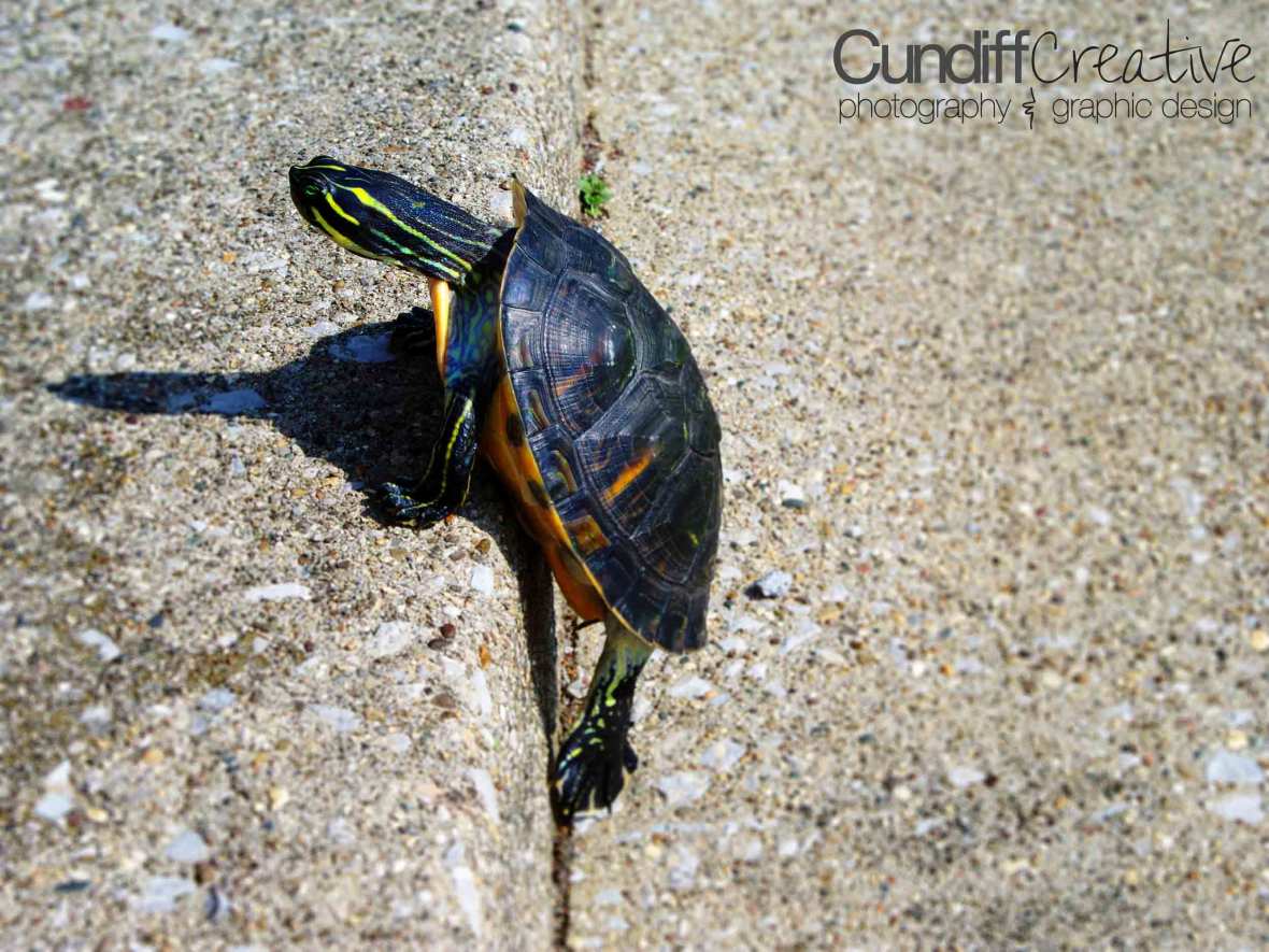 Heather Cundiff Creative