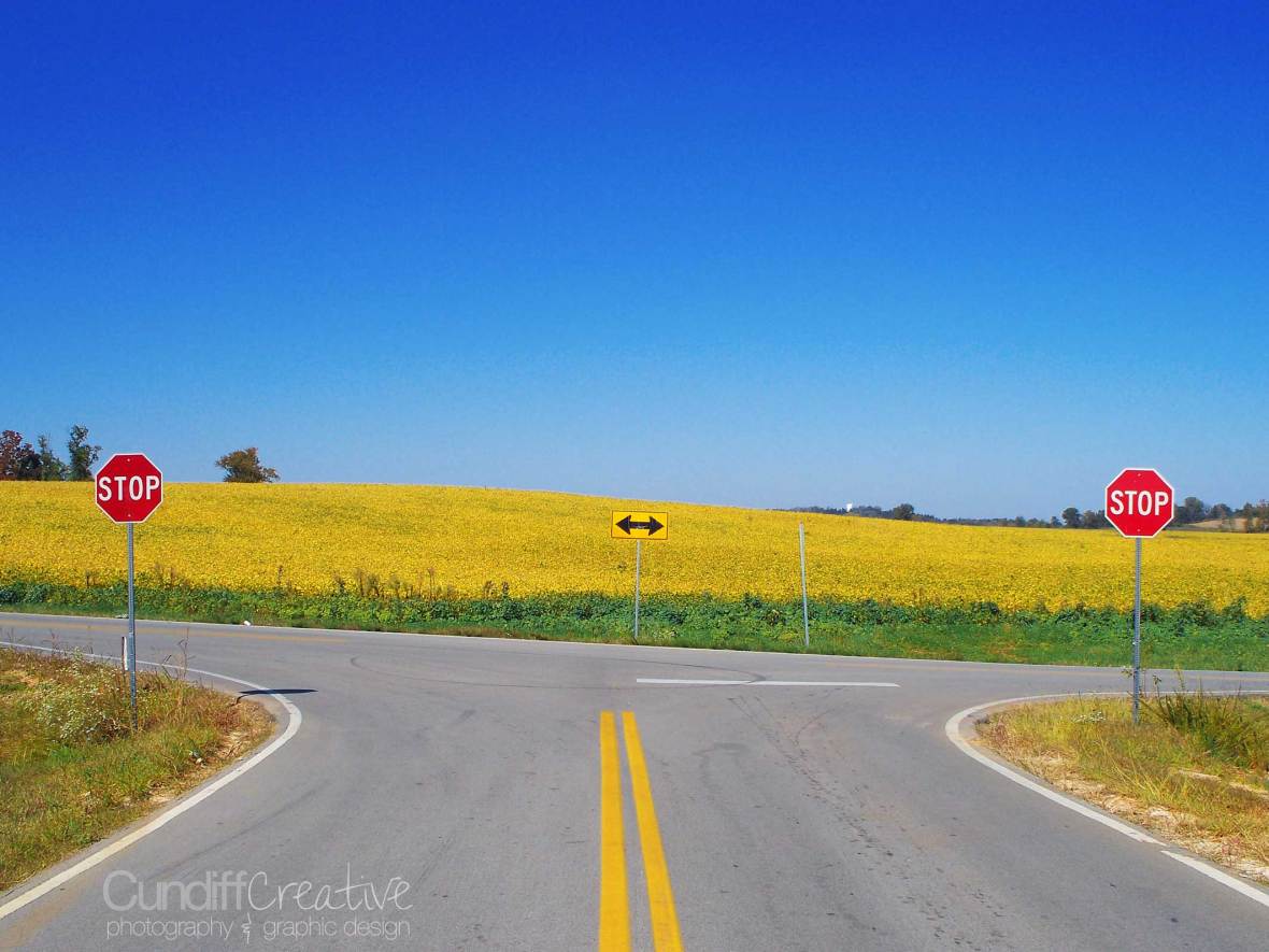 Heather Cundiff Creative