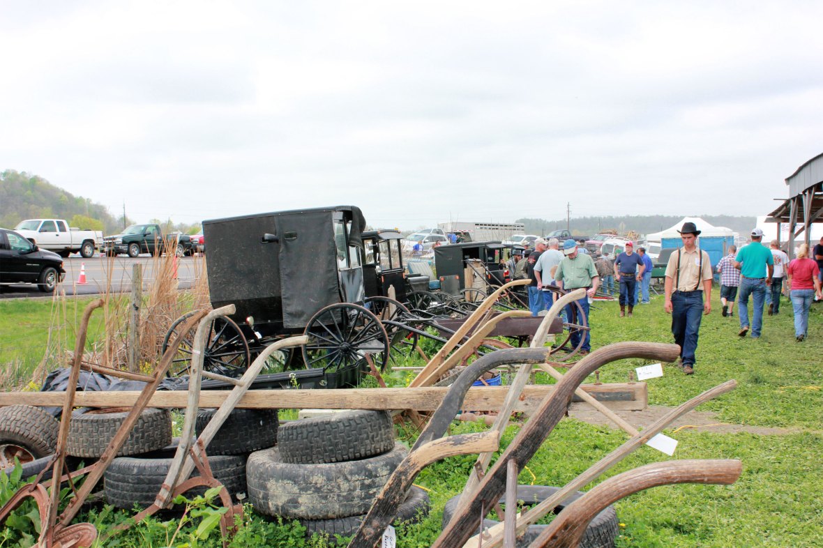 Casey County Consignment Auction 2012