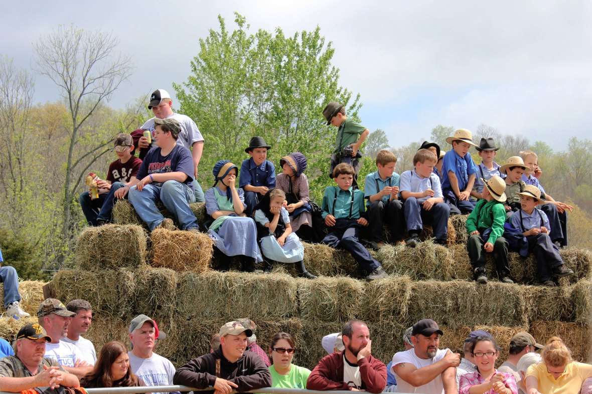 Casey County Consignment Auction 2012