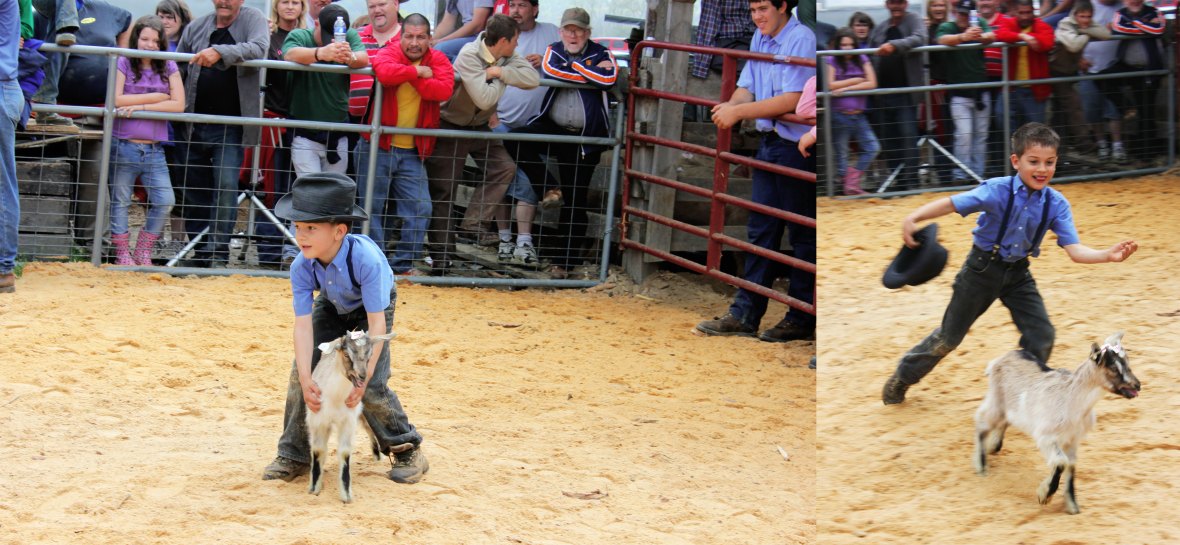 Casey County Consignment Auction 2012