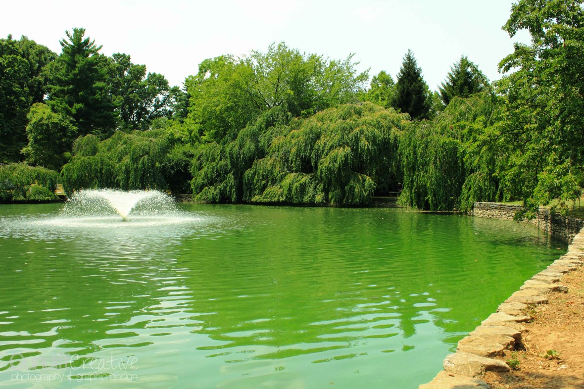 Lexington Cemetery Fountain