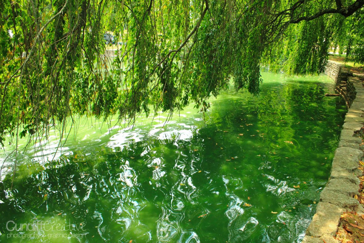 Lexington Cemetery Lexington Cemetery Pond