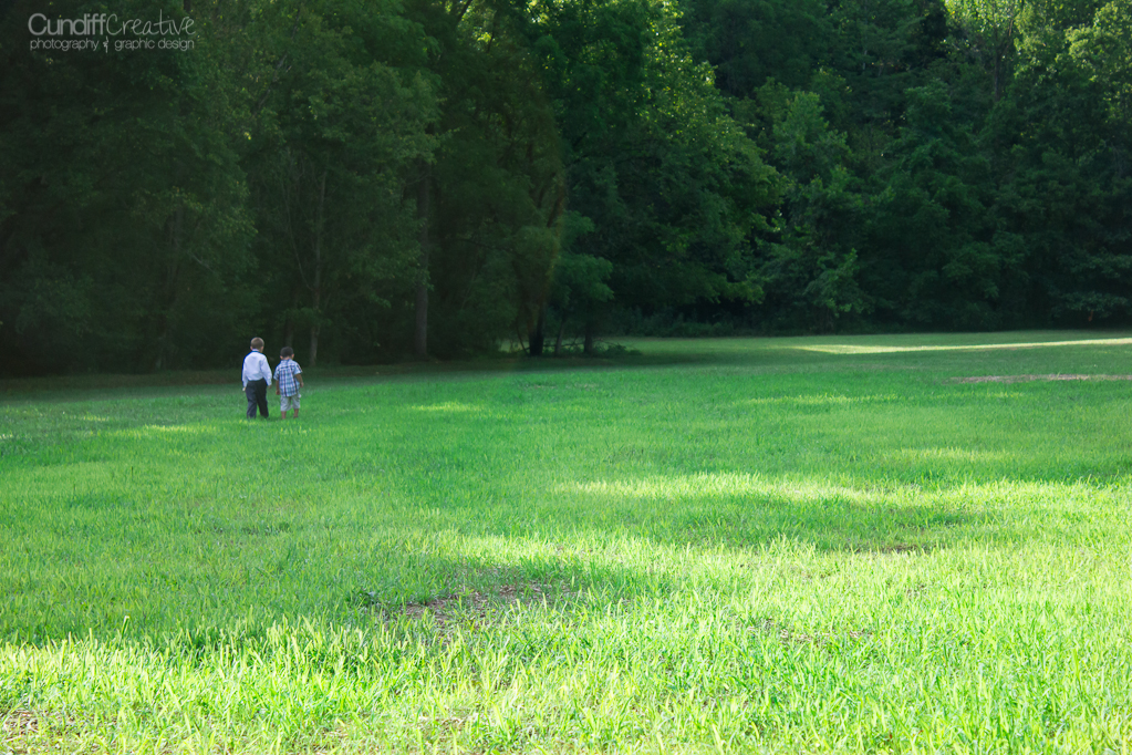 The Barn at Cedar Grove