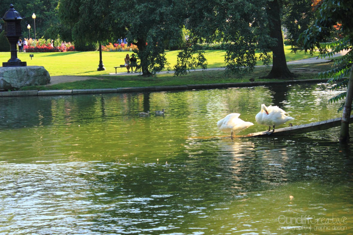 Heather Cundiff Creative