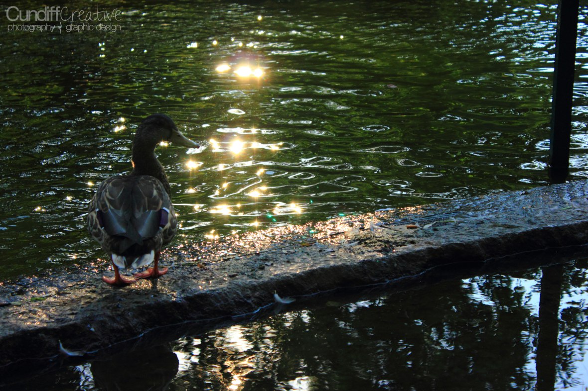 Heather Cundiff Creative