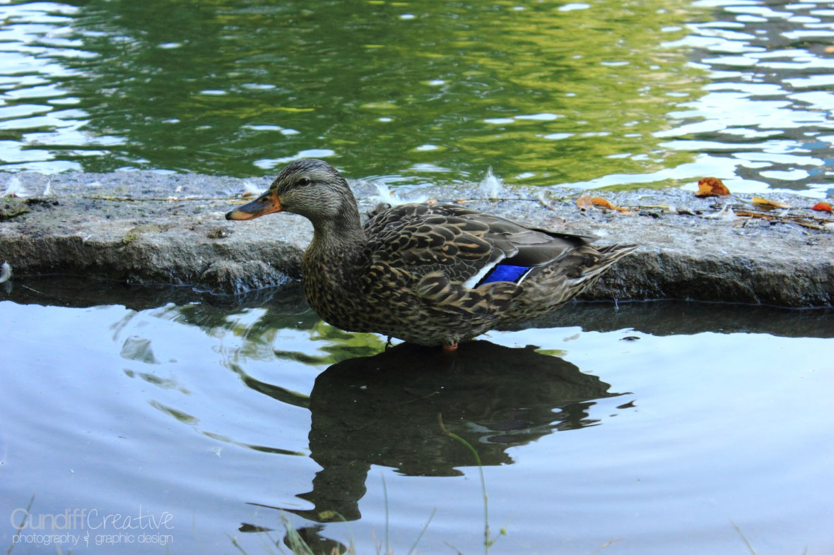 Heather Cundiff Creative