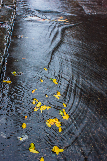 Hurricane Sandy 2012