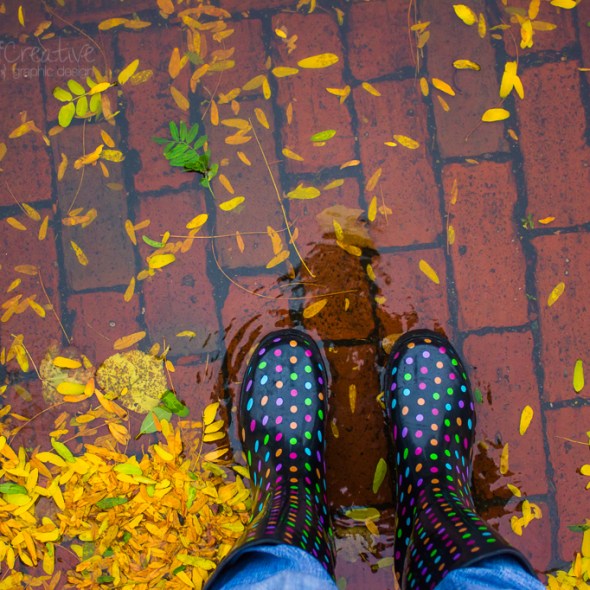 Hurricane Sandy 2012