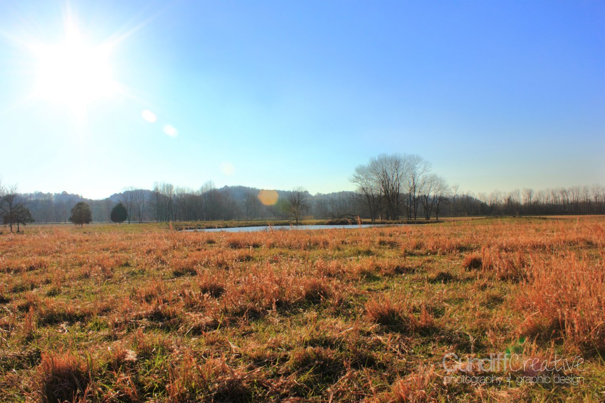 Heather Cundiff Creative