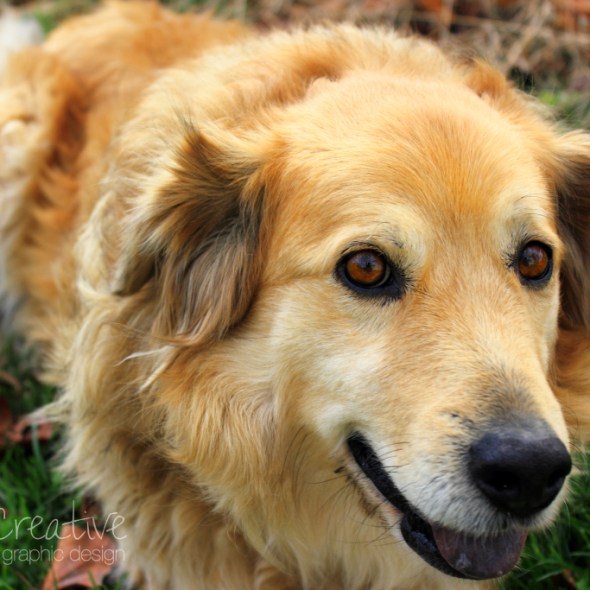 Heather Cundiff Creative