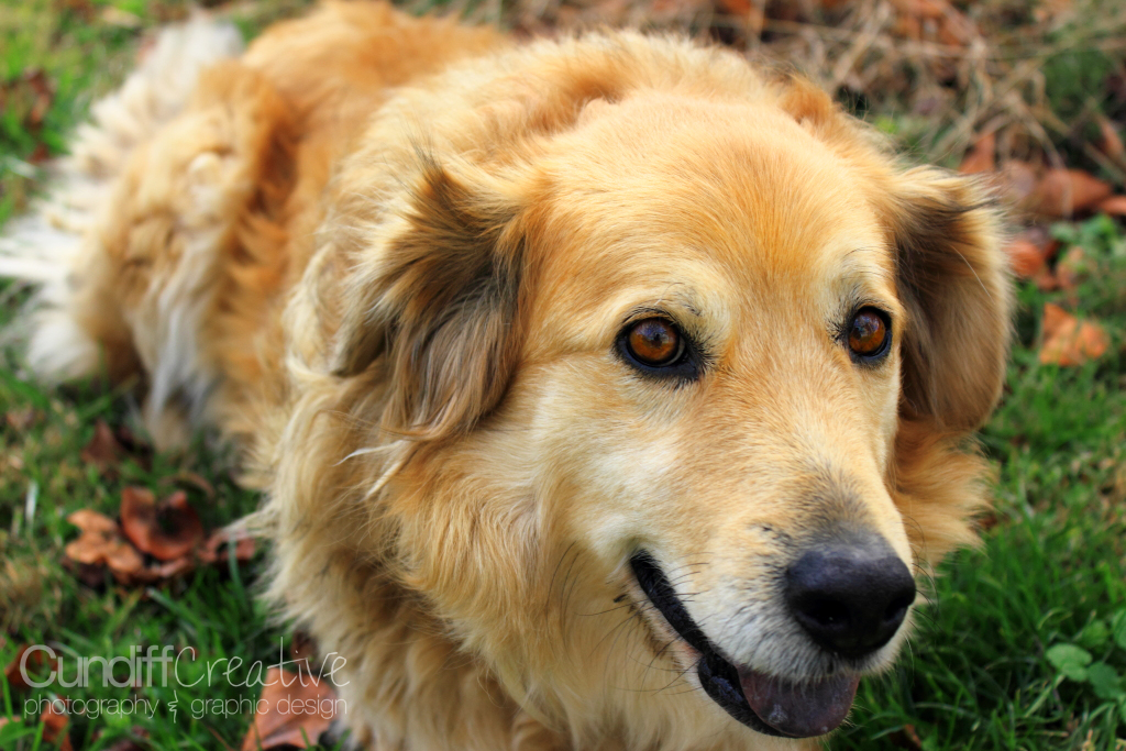 Heather Cundiff Creative