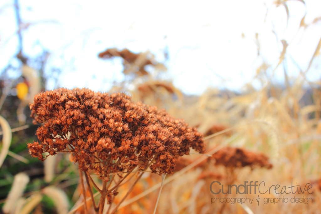 Heather Cundiff Creative