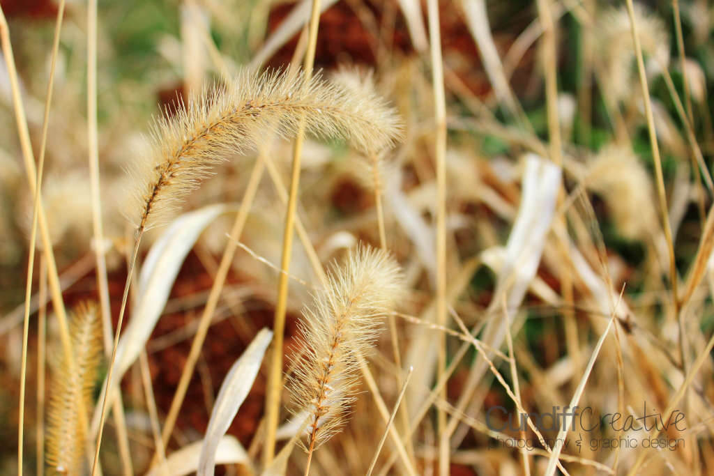 Heather Cundiff Creative