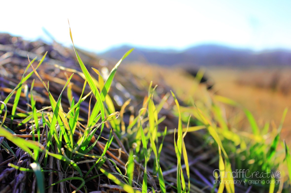 Heather Cundiff Creative