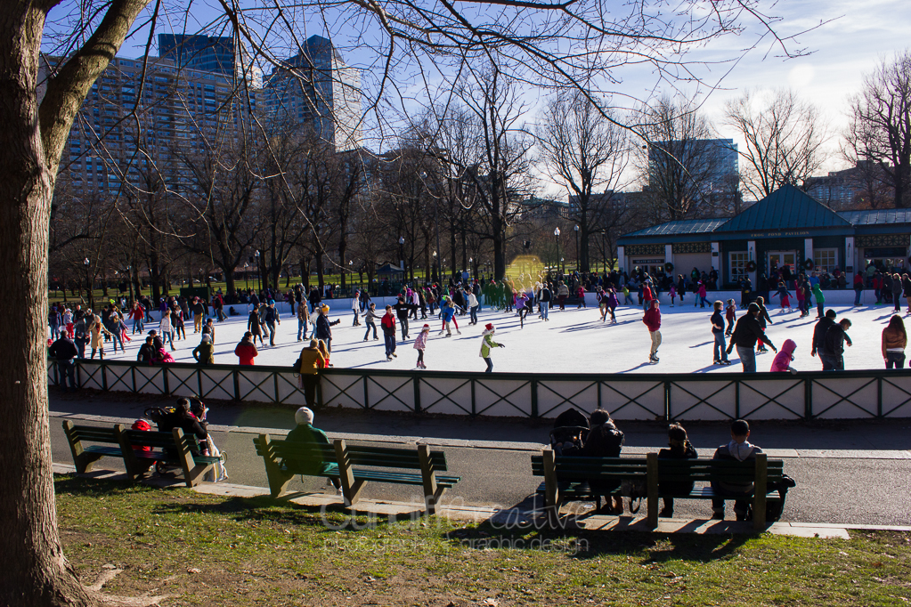 BostonChristmas-78-2