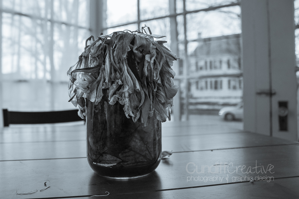 Heather Cundiff Creative