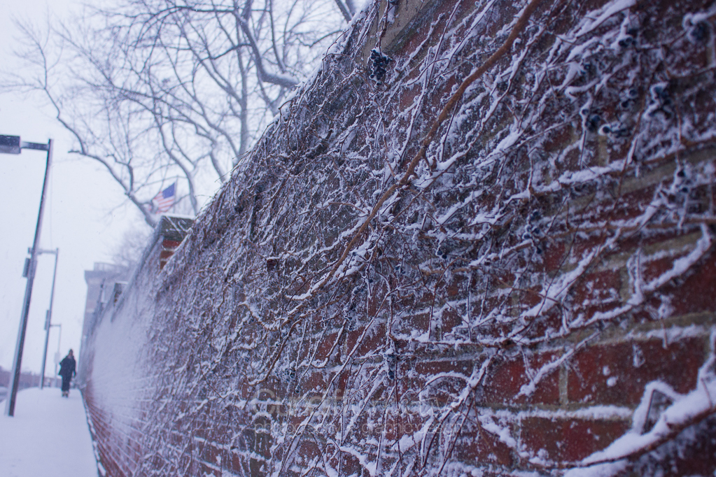 Heather Cundiff Creative