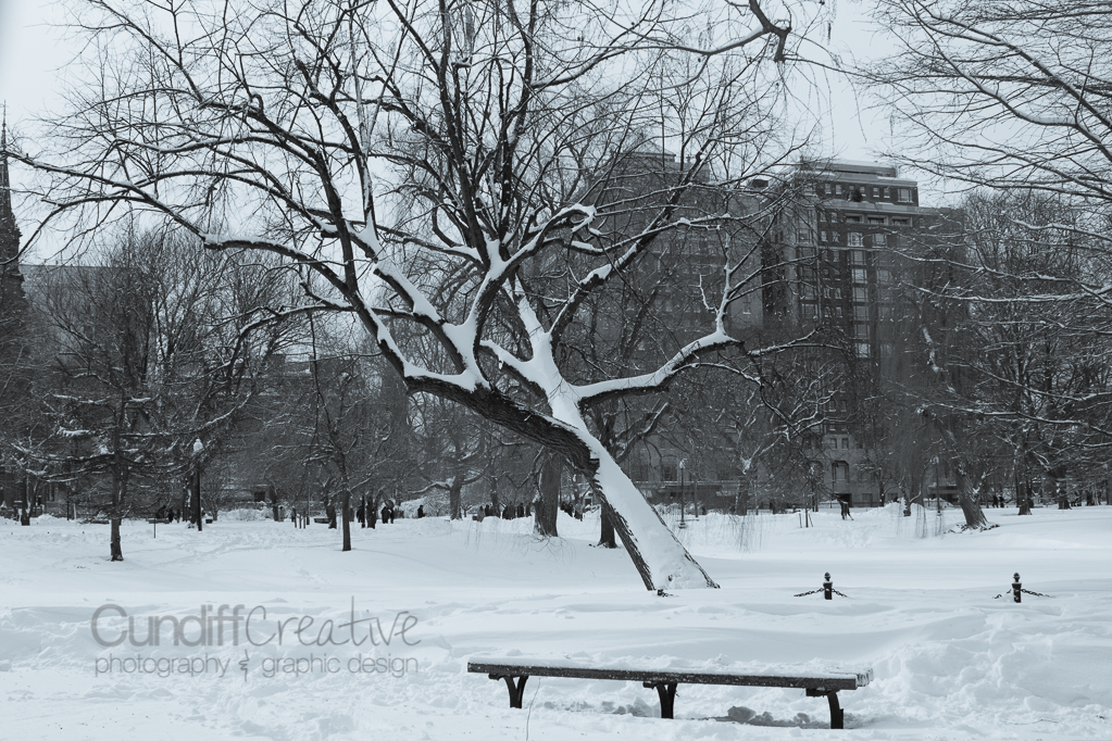 Heather Cundiff Creative