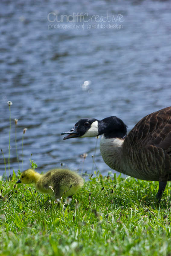 Heather Cundiff Creative