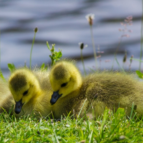 Heather Cundiff Creative