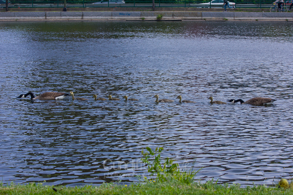 Heather Cundiff Creative