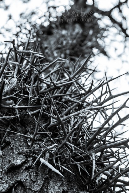 Heather Cundiff Creative