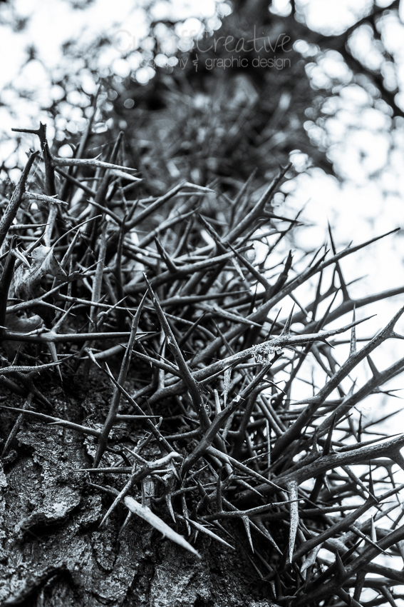 Heather Cundiff Creative