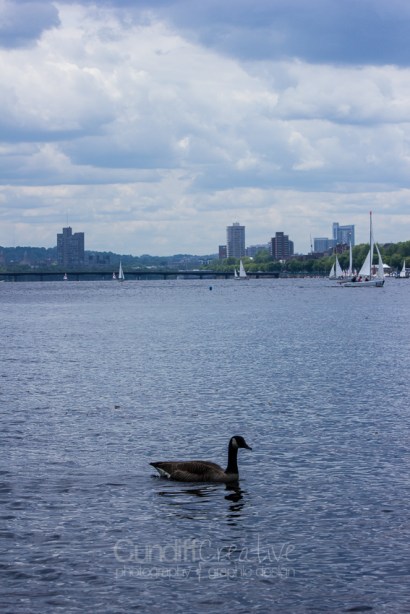 Heather Cundiff Creative