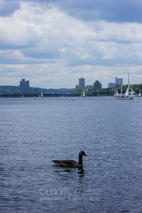 Heather Cundiff Creative