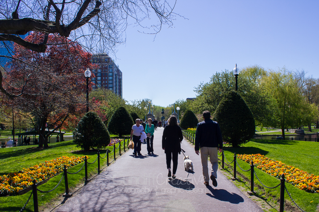 Heather Cundiff Creative