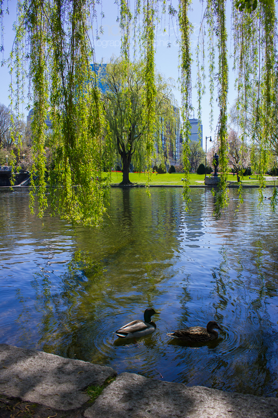 Heather Cundiff Creative