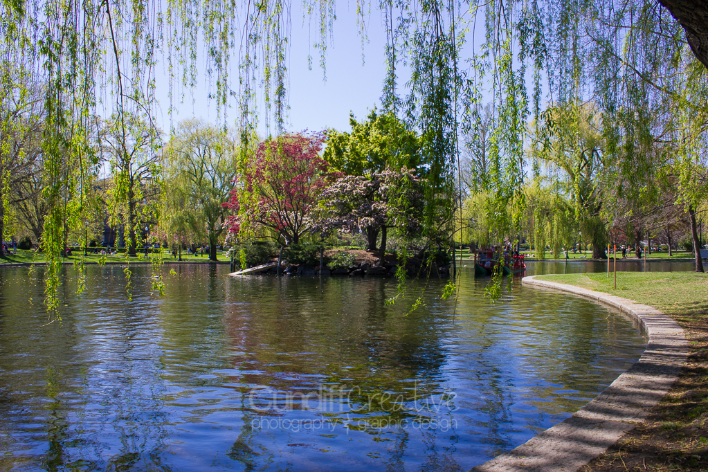 Heather Cundiff Creative