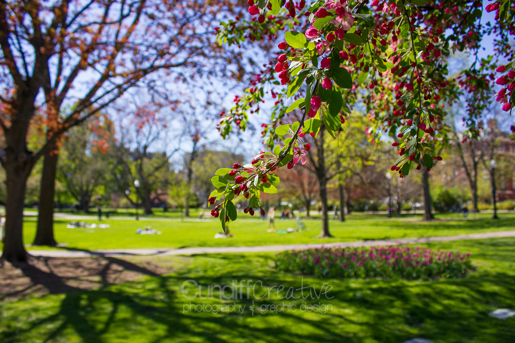 Heather Cundiff Creative