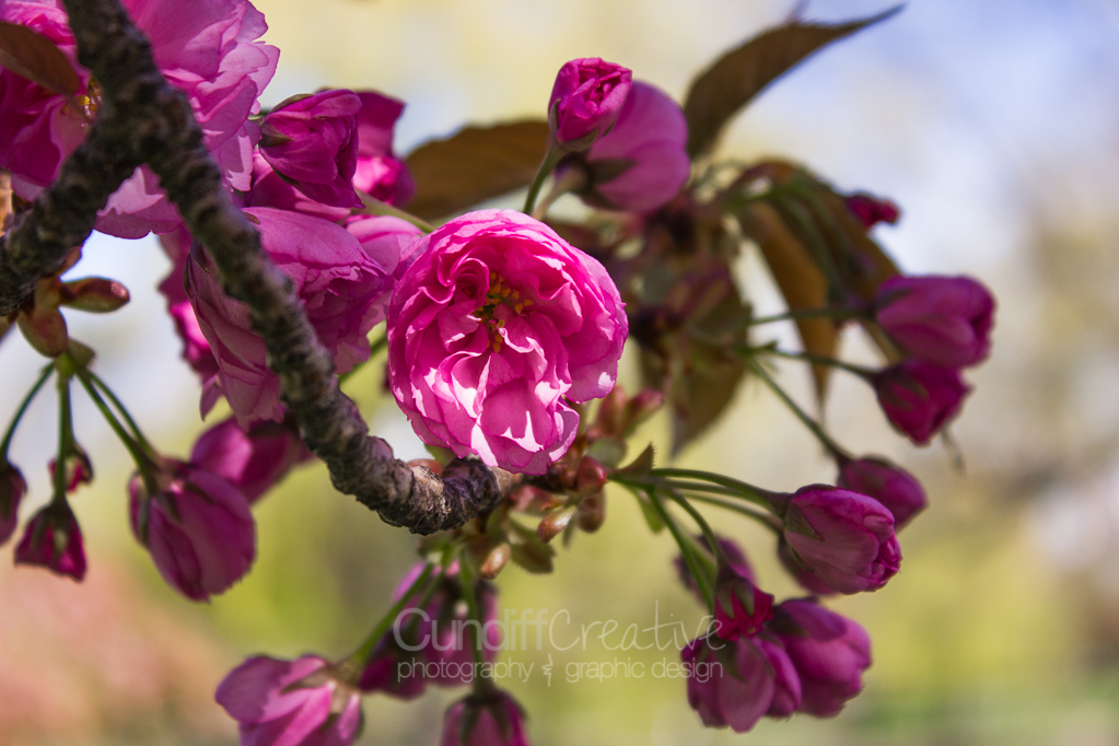 Heather Cundiff Creative