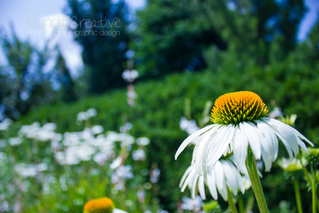 Heather Cundiff Creative