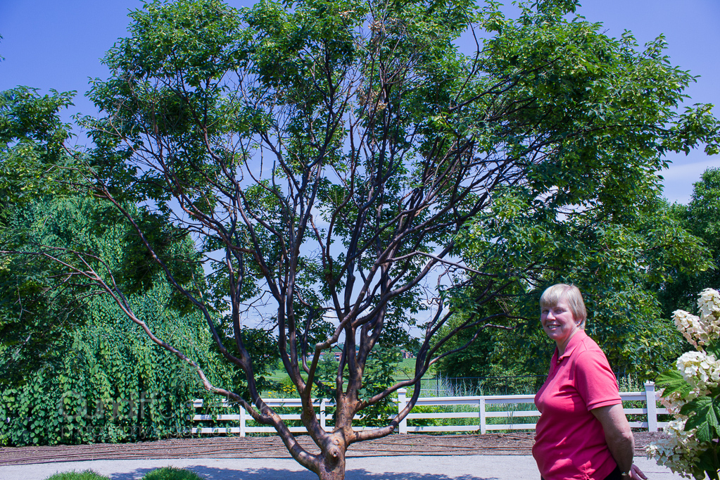 Heather Cundiff Creative