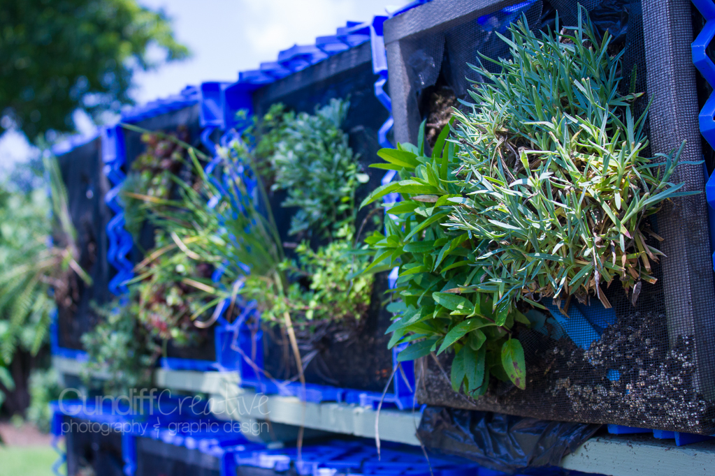 Heather Cundiff Creative