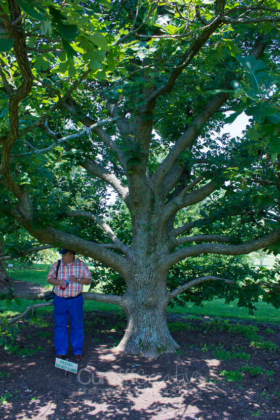 Heather Cundiff Creative