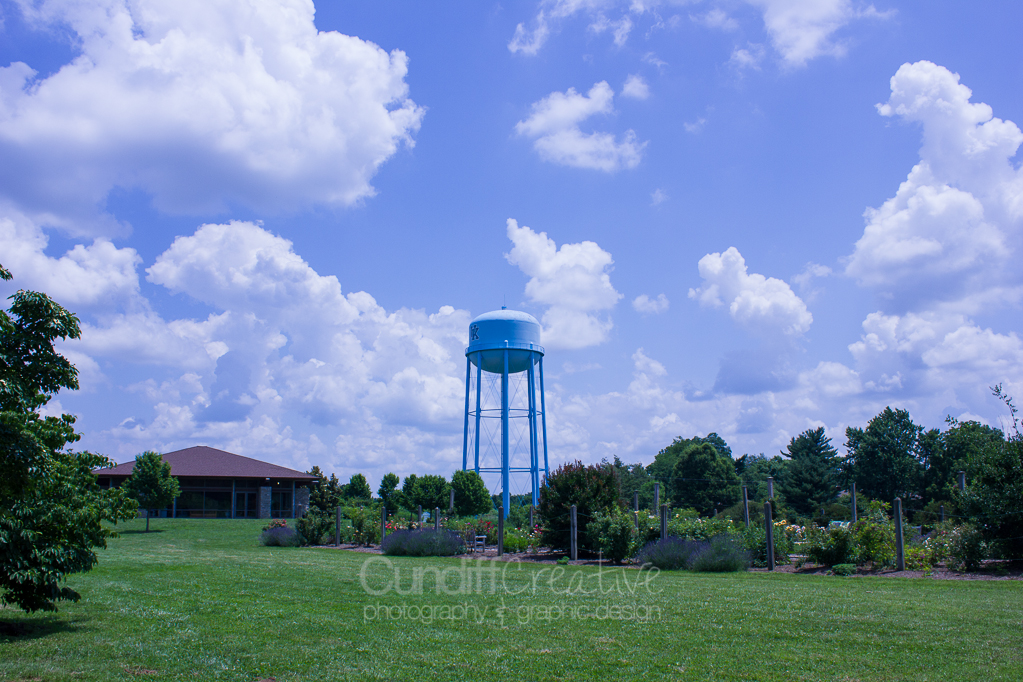 Heather Cundiff Creative