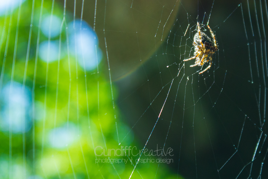 Heather Cundiff Creative