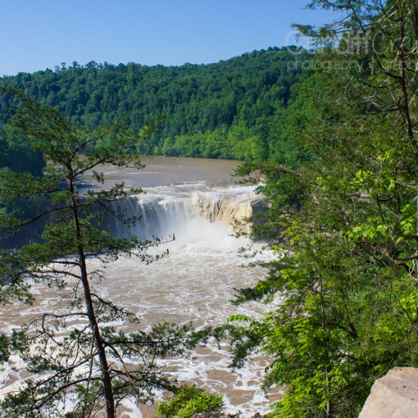 Heather Cundiff Creative