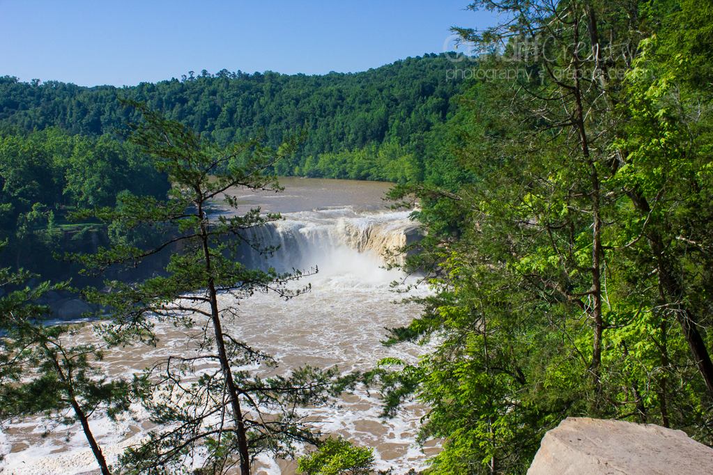 Heather Cundiff Creative