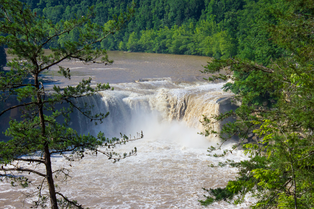 Heather Cundiff Creative