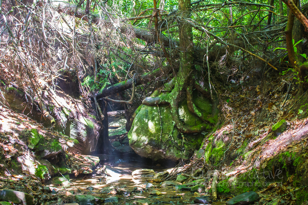 Heather Cundiff Creative