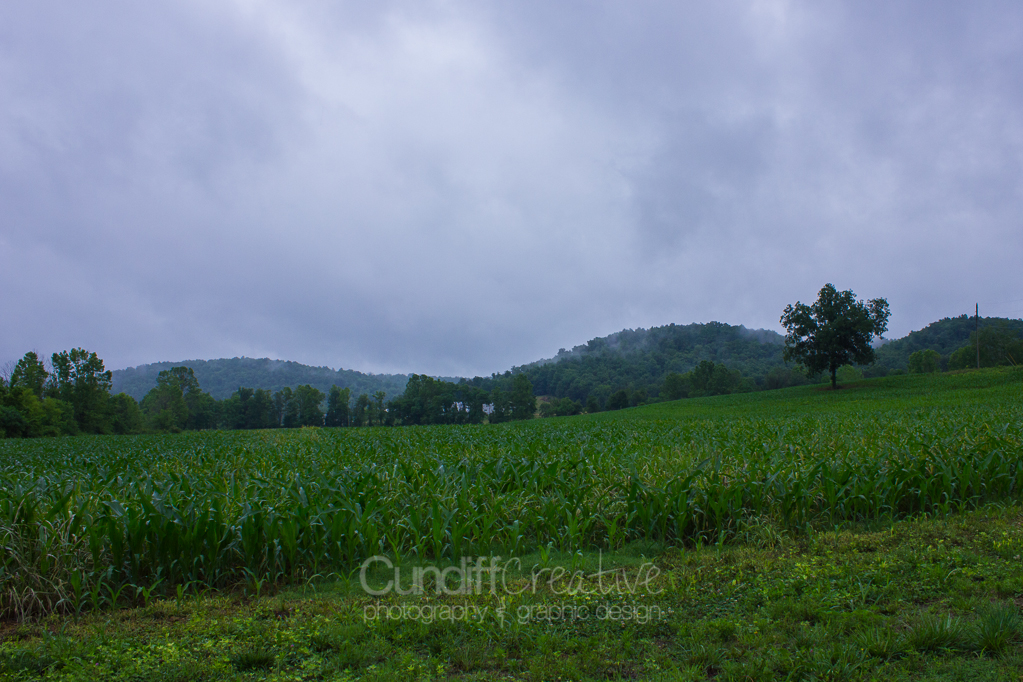 Heather Cundiff Creative 