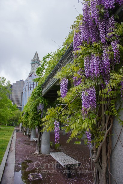 Heather Cundiff Creative